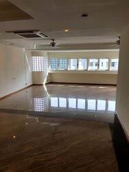 Cairnhill Plaza (D9), Apartment #567521391